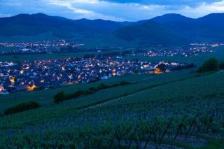 Alsace à vélo : pistes cyclables, EuroVelo et vignobles