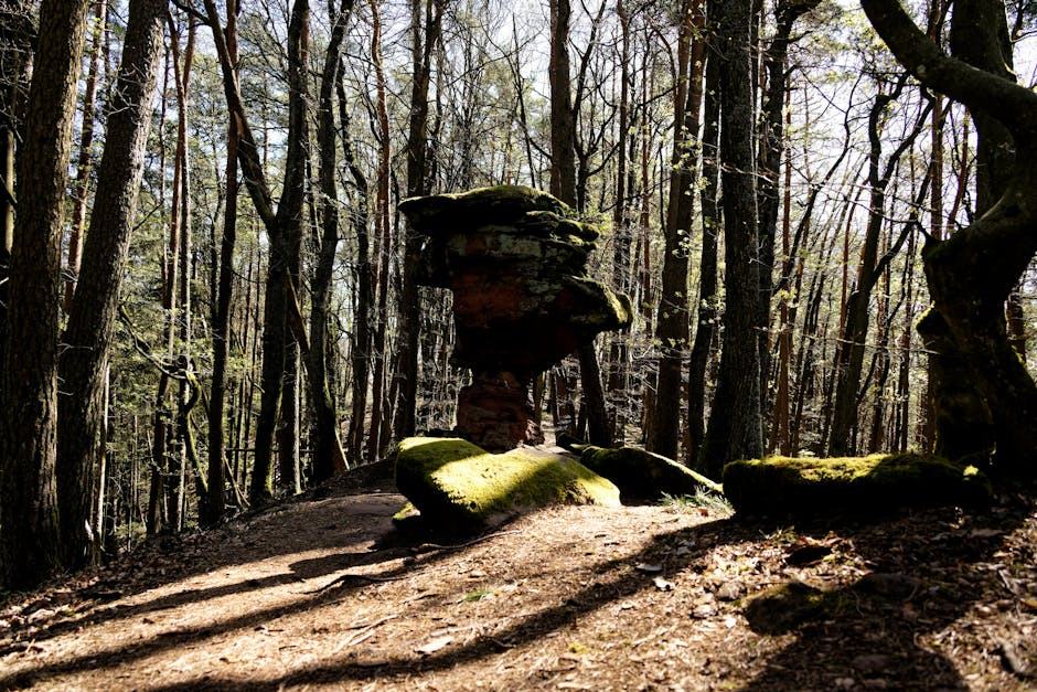 Festivals en Alsace : musique, culture et gastronomie