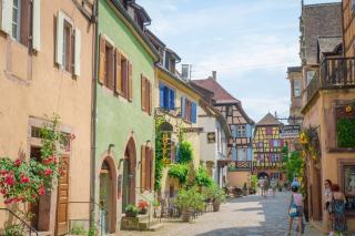 Cigognes en Alsace : où les observer et centres de protection