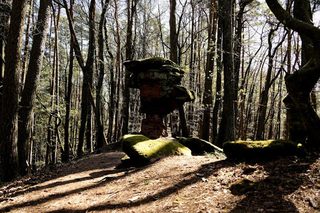 Festivals en Alsace : musique, culture et gastronomie